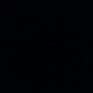 Meet your Posher, Menessa