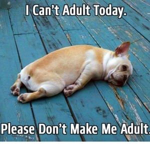 Meet your Posher, Allana