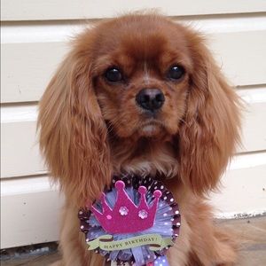 Meet your Posher, Beverly