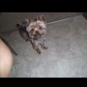 Meet your Posher, Jasmine