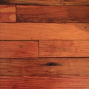 Meet your Posher, Bee