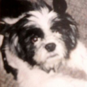 Meet your Posher, Alicia