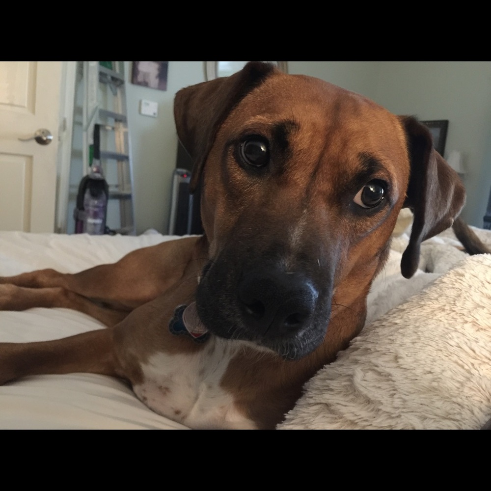 Meet your Posher, Tracy