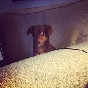 Meet your Posher, Amy