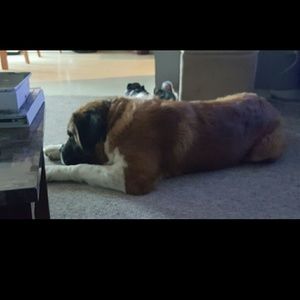 Meet your Posher, Cheri