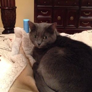 Meet your Posher, Les