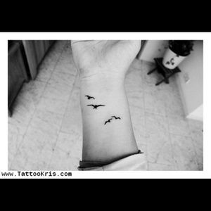 Meet your Posher, Stenie