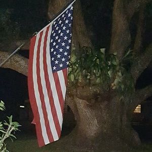 Meet your Posher, Bridget