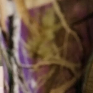 Meet your Posher, Nichole