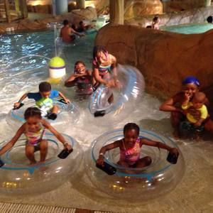 Meet your Posher, Lindy