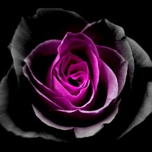 Meet your Posher, Tanya