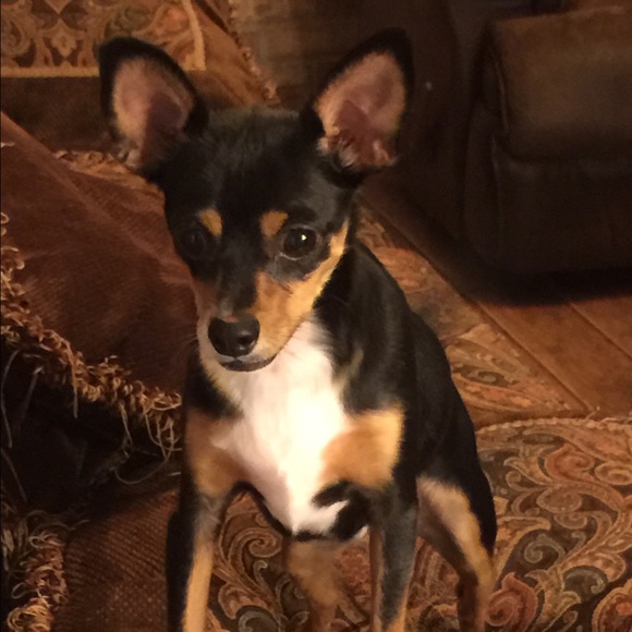 Meet your Posher, Leah - Picture 4 of 5