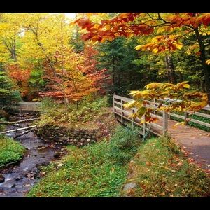 Meet your Posher, Kira