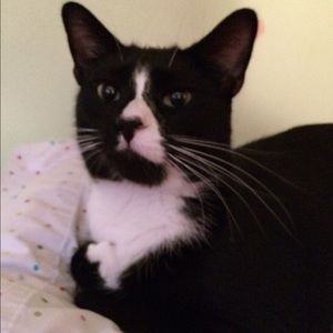 Meet your Posher, Faith