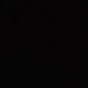 Meet your Posher, Allie