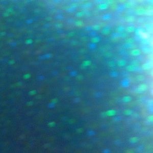 Meet your Posher, Abbey