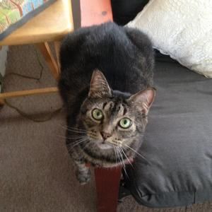 Meet your Posher, James