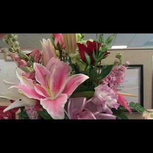 Meet your Posher, Whitney