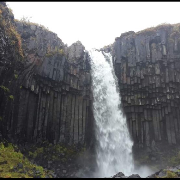 Meet your Posher, David - Picture 1 of 1