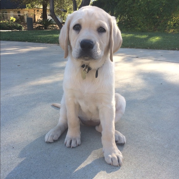 Meet your Posher, Brooke