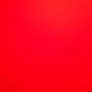 Meet your Posher, Max