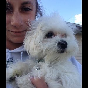 Meet your Posher, Tara