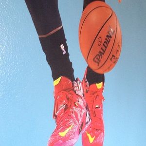 Meet your Posher, Kim