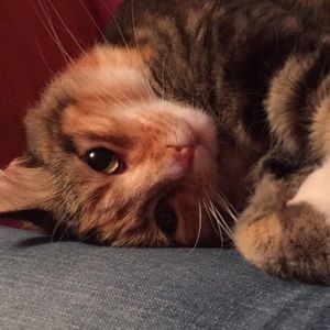 Meet your Posher, Kiley