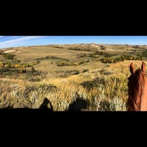 Meet your Posher, Wendy