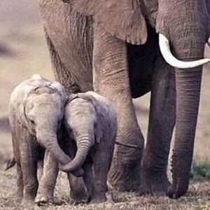 Meet your Posher, Audra