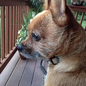 Meet your Posher, Kiki