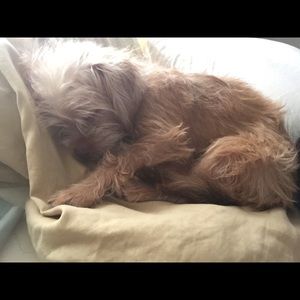 Meet your Posher, Jodi