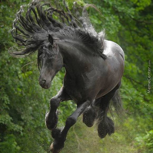 Meet your Posher, Skylar