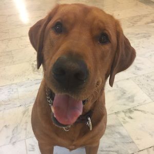 Meet your Posher, Mary