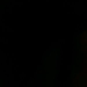 Meet your Posher, Willa