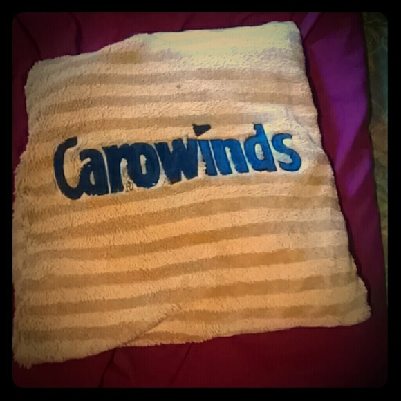 Carowinds pillow