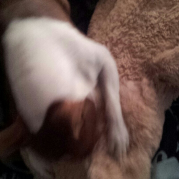 Meet your Posher, Mark