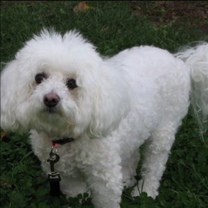 Meet your Posher, Charlotte