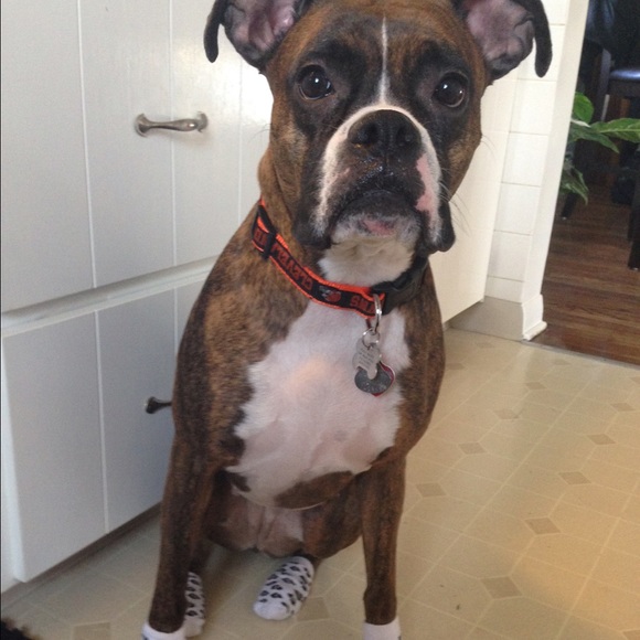 Meet the Posher!! - Picture 2 of 3