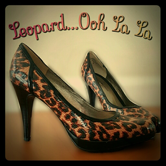 Bandolino Serece Leopard Pumps