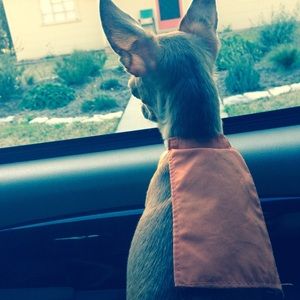 Meet your Posher, Scarlet