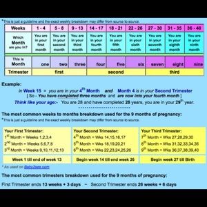 Meet your Posher, Gloria