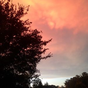 Meet your Posher, Mindy