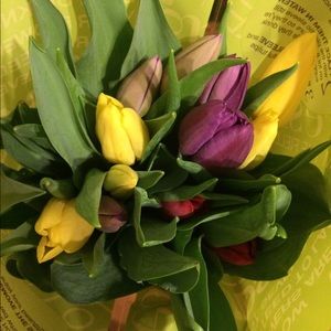 Meet your Posher, Dana