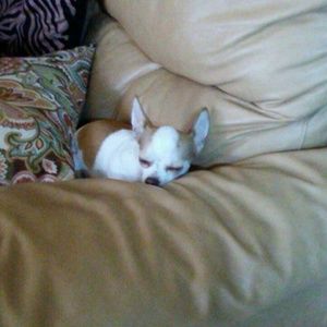 Meet your Posher, Mimo