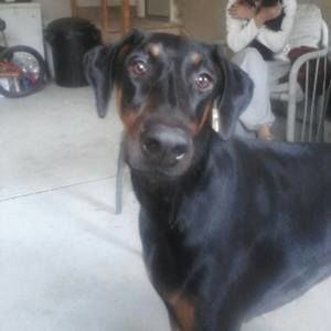 Meet your Posher, Timothy