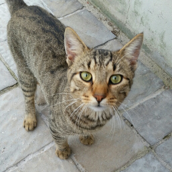 Meet your Posher, Debra - Picture 2 of 2