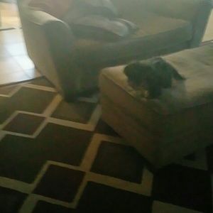 Meet your Posher, Jackie