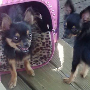 Meet your Posher, Wendy