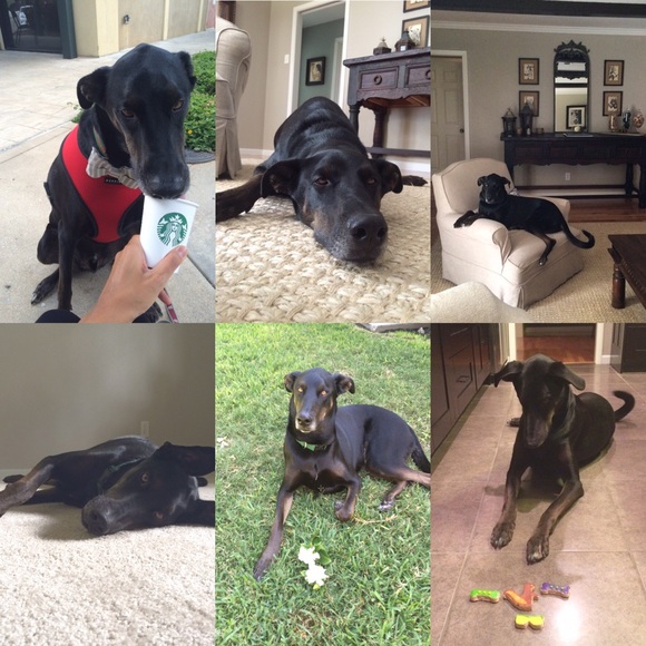 Meet your seller! - Picture 2 of 4